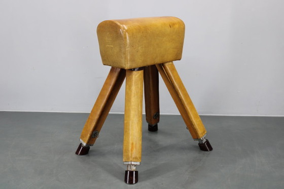 Image 1 of Tsjechoslowaaks turnpaard van leer en hout uit de jaren 50, in hoogte verstelbaar