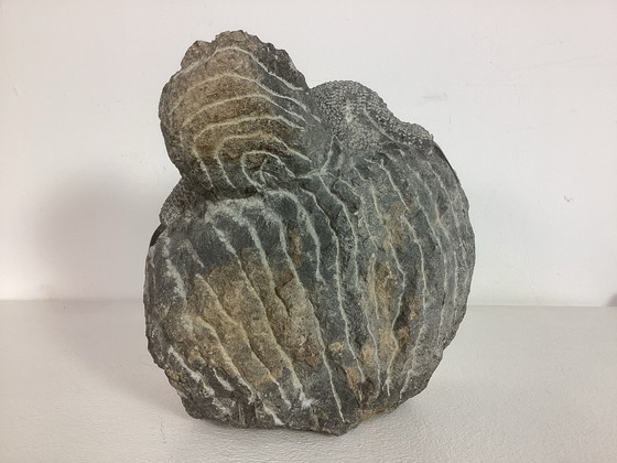 Image 1 of Œuvre d'art Colleen Madamombe Zimbabwe 1964 - 2009