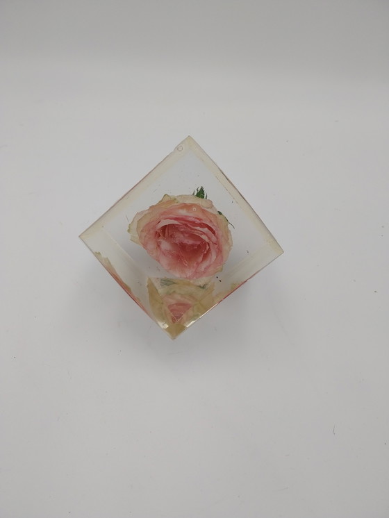 Image 1 of Deux compositions florales dans des blocs de résine époxy. Rose et tournesol, 10 x 10 x 10 cm.