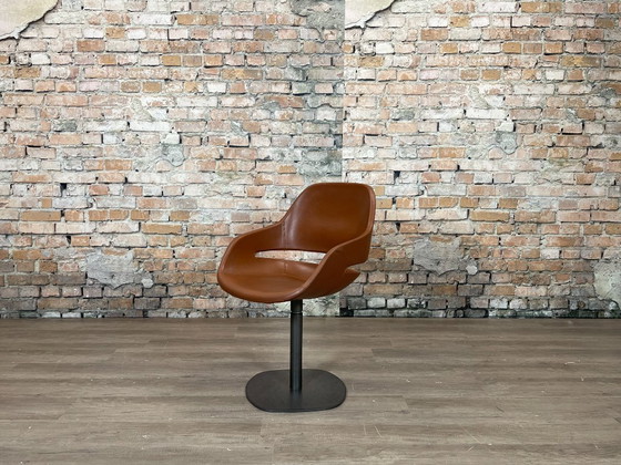 Image 1 of 6x Zanotta Eva