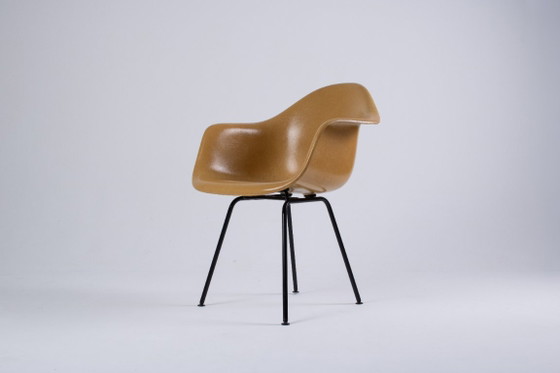 Image 1 of Paire de DAX Eames en fibre de verre – Light Ocre – Herman Miller / Vitra – circa 1965-1975