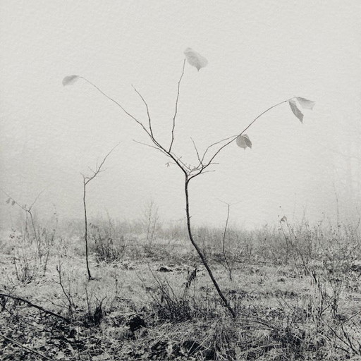 Ralph Janowski - fotoprint zonder titel