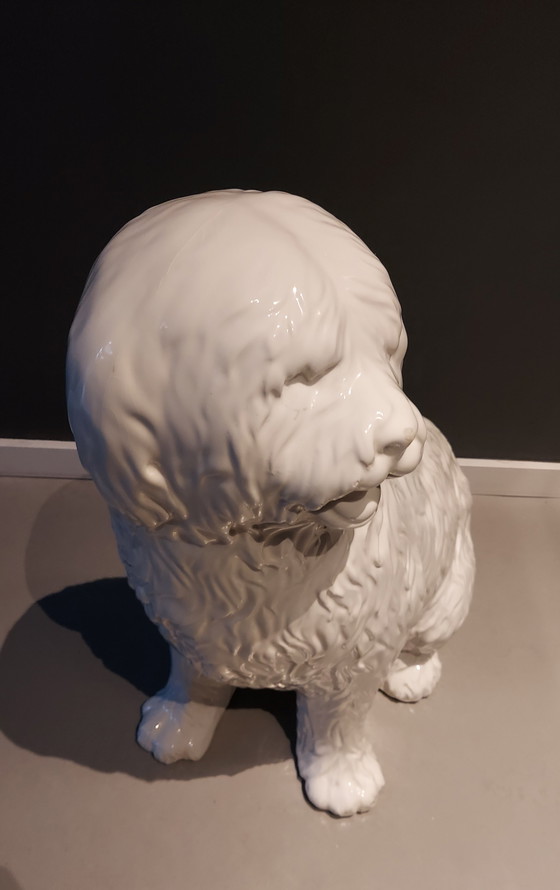 Image 1 of Statua di cane in ceramica italiana d'epoca alta 70 cm