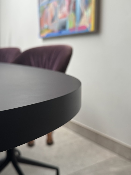 Image 1 of Mancha negra del estudio Henk