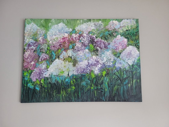 Image 1 of Oleszczuk - Wiese