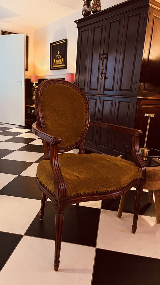 Two chairs from Hotel des Indes by designer Jacques Garcia, Armchairs, Velvet, Wood, Brown (photo 2 of 6)