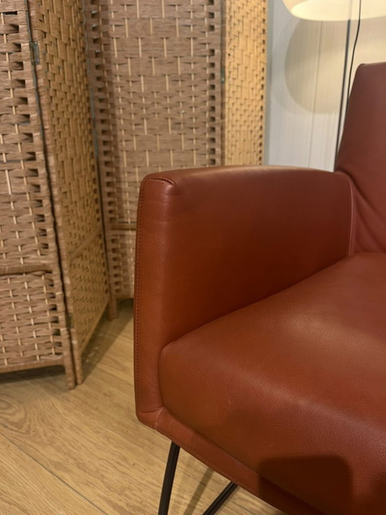 COME NUOVO Design on Stock Tumbler + GARANZIA – Poltrone, Leather (photo 8 of 9)