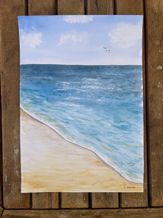 Aquarel zeevogels – Schilderijen & Tekeningen, Paper (photo 3 of 5)