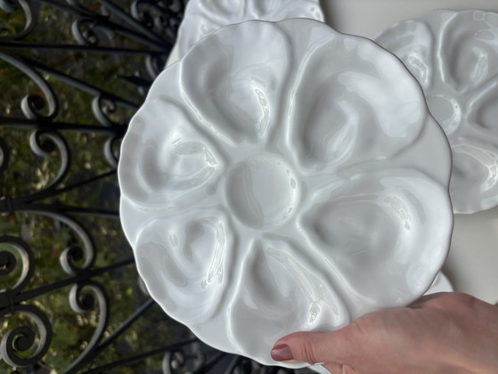 6 Assiettes à Huîtres Majolique – majolique française, Geschirr, Ceramic (photo 11 of 15)