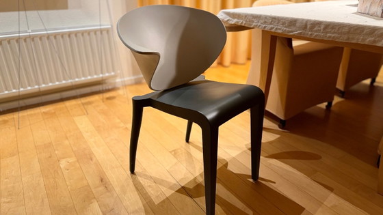 Kartell unique 2 Designer Boom Rang by Starck chairs, Dining chairs, Plastic, Beige, Modern (photo 7 of 9)