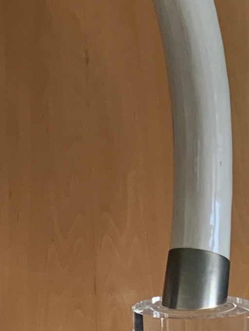 Corne décorative...magnifique !