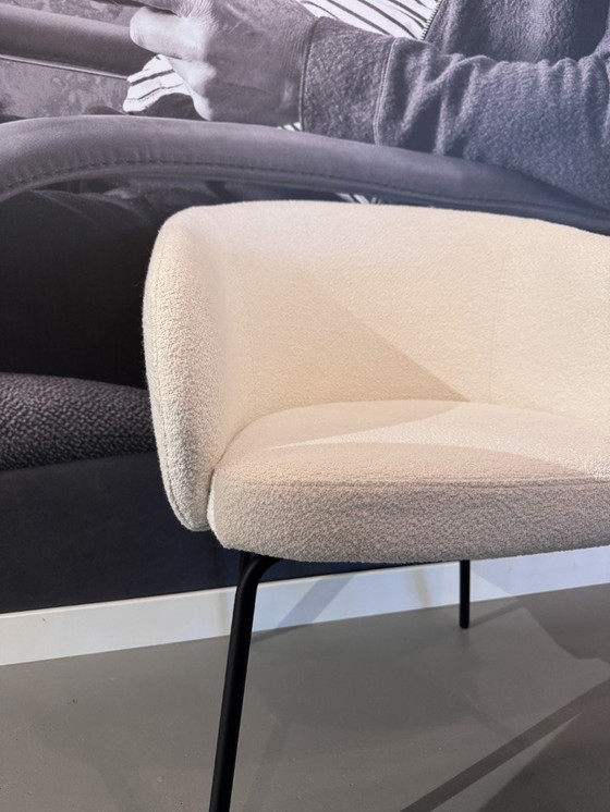 Image 1 of Sedia da pranzo Montel Tune