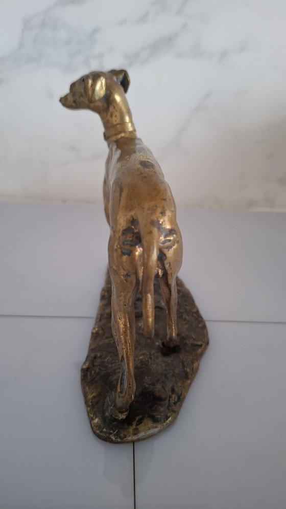 Image 1 of Lévrier en bronze, fin du XIXe ou début du XXe siècle.
