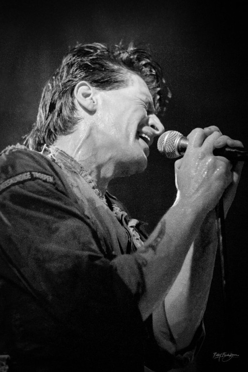 Herman Brood 1981 | Dibond with Plexiglas 4/25