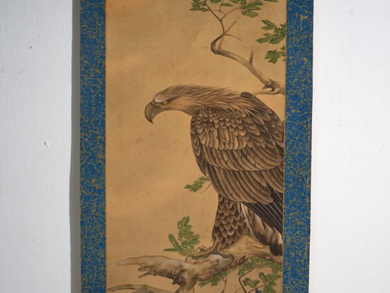 Antikes japanisches Kakejiku eines Raubvogels in Farbe auf Papier – Japan, circa 1900 (photo 22 of 40)