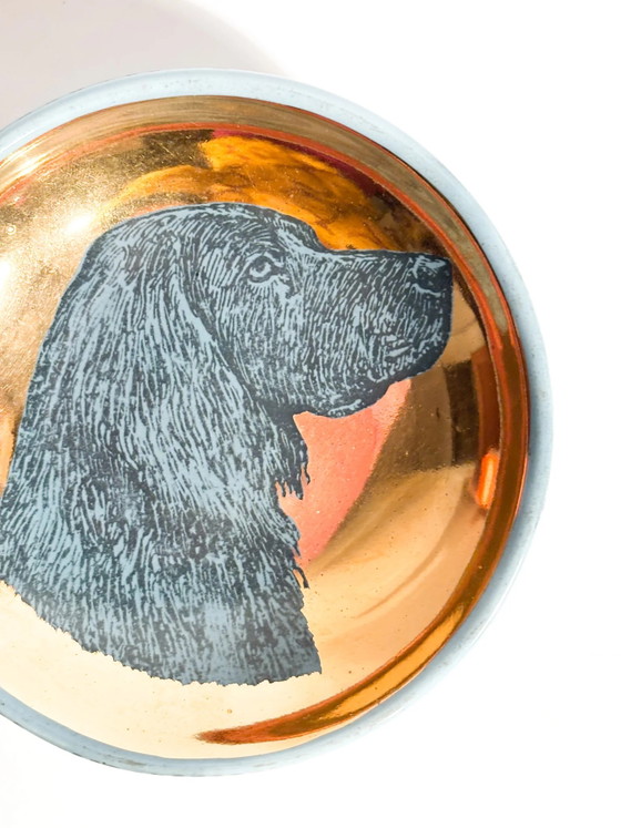 Cuenco de cerámica para perros con la figura de un braco alemán de pelo corto, de Piero Fornasetti, década de (photo 4 of 6)