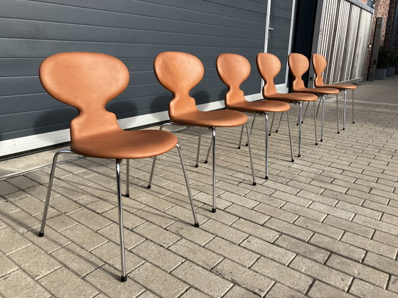 Image 1 of ¡¡NUEVO!! Sillas Fritz Hansen Ant en piel color coñac