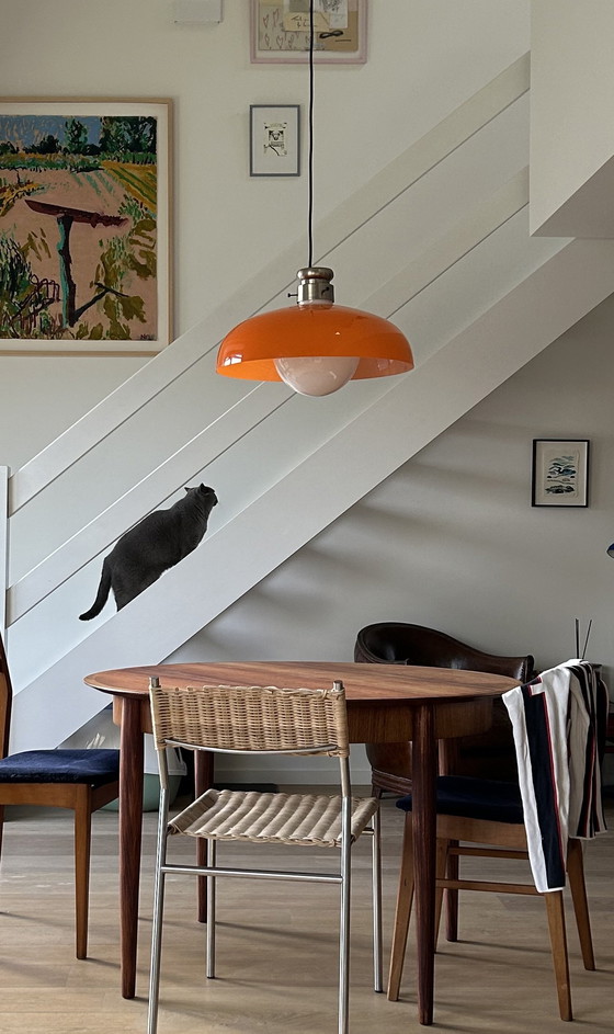 Image 1 of Pendant Lamp by Alessandro Pianon for Vistosi