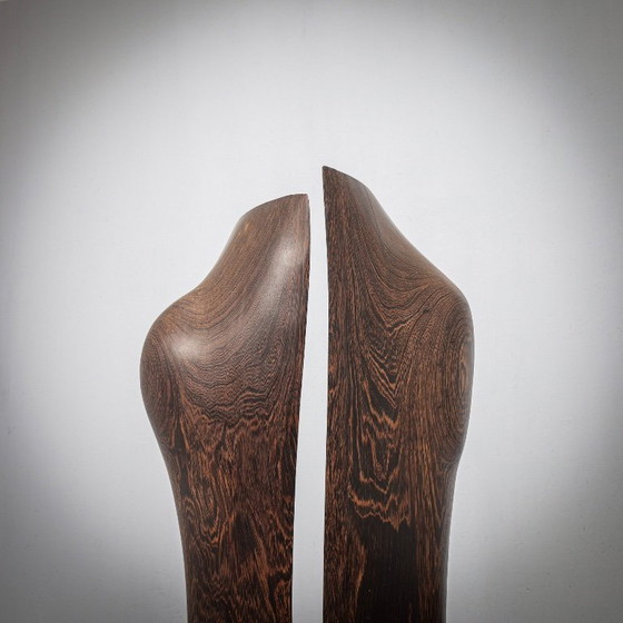 Image 1 of Esculturas de madera orgánica respirando de Ineke van Zuuren, años 70