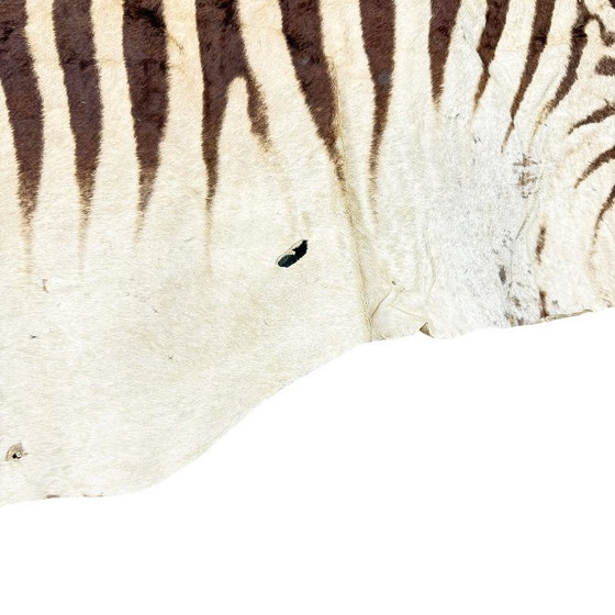 Image 1 of Tappeto vintage in pelle di zebra – autentica pelle di animale africano – oggetto decorativo per interni