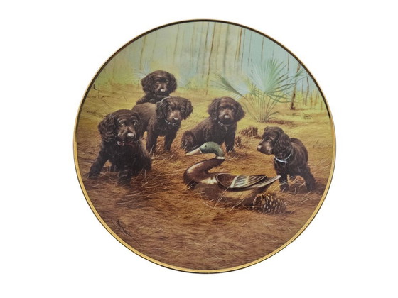 Image 1 of Franklin Mint - design by James Killen - Limited Edition - (set) 3 - Team Practice  -  80's