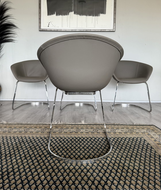 Image 1 of 4x Chaise Arper Duna Design by Lievore Altherr Molina, ca2014