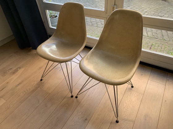 Image 1 of 2 sedie laterali vintage Eames Miller DSR in fibra di vetro color pergamena