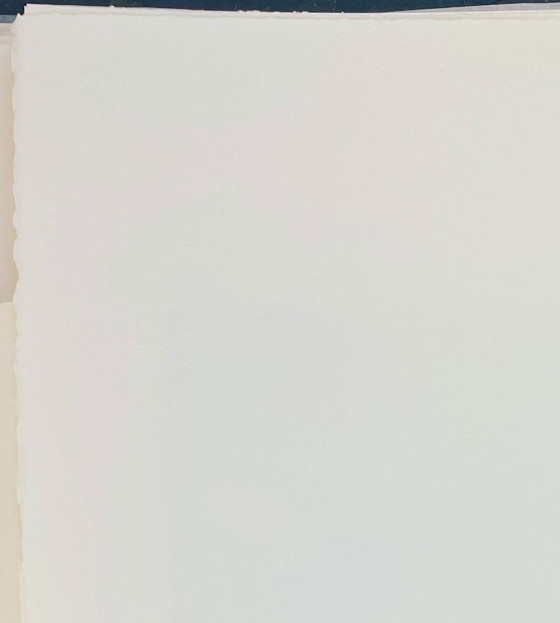 Image 1 of Francois-Xavier Lalanne (1927-2008) Burro (Burro cargado), 2002