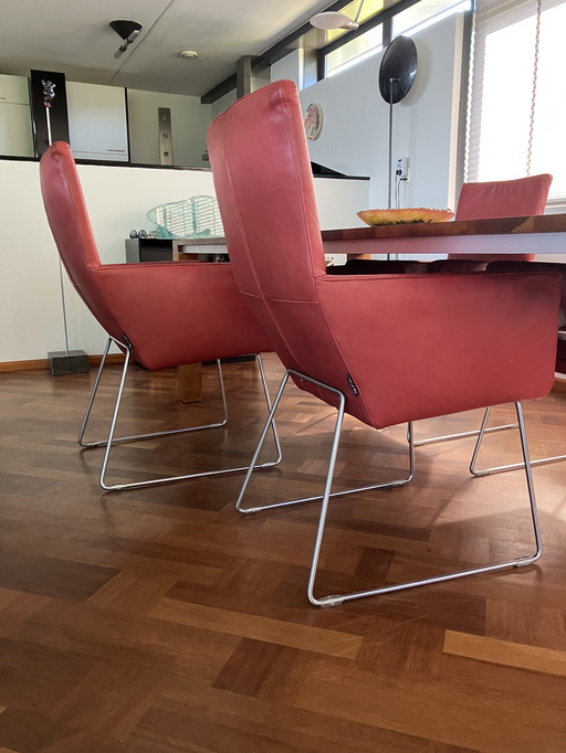 4 x Label Gerard Van Den Berg Chaises de salle à manger Modèle Donna