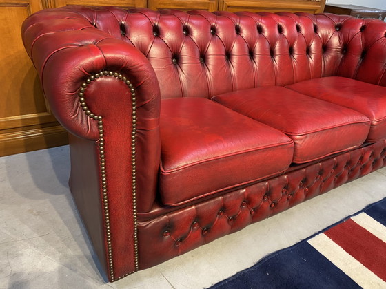 Chesterfield 3+2 Zit Bankstel Oxblood Rood – winchter, Banken, Leather (photo 2 of 7)
