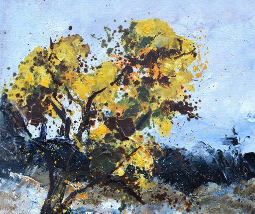 Trockener Sommer in der Provence
