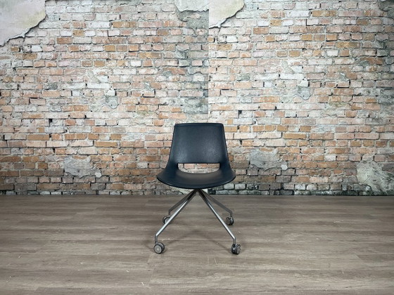 Image 1 of Arper Palm nero