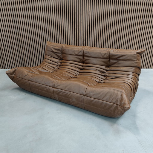 Ligne Roset Togo Mocca Leder 3 Zits