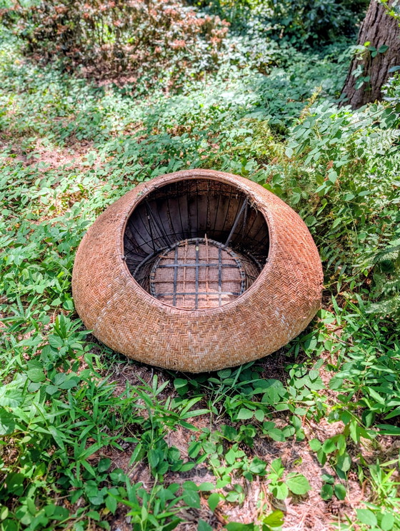 Chaise champignon – Fauteuils, Wicker (photo 5 of 5)