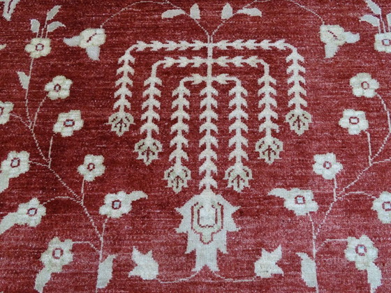 Image 1 of Ziegler - 302 x 202 cm - Wolle/Baumwolle - Handgeknüpft