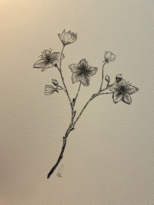 Illustration Cherry Blossom Sakura | In Dark Brown Frame