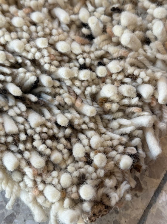 Image 1 of Brink and Campman Ray Soft Cocoon carpet NEW