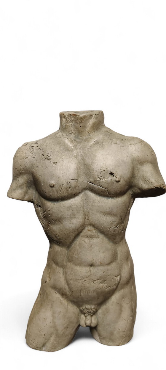 Image 1 of Frammento di scultura vintage in terracotta raffigurante un torso maschile, decorazione d'arte classica.