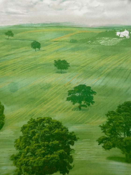 David Hockney, Green Valley, 2008, Copyright David Hockney, Gedruckt in Großbritannien, Kunstdrucke, Papier (Foto 6 von 9)