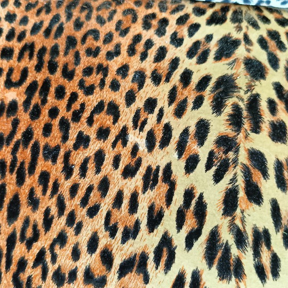 Biedermeyer Style Sofa In Leopard Trim – Couches, Other (photo 11 of 19)