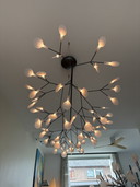 Moooi Heracleum III Lineaire Plafondlamp
