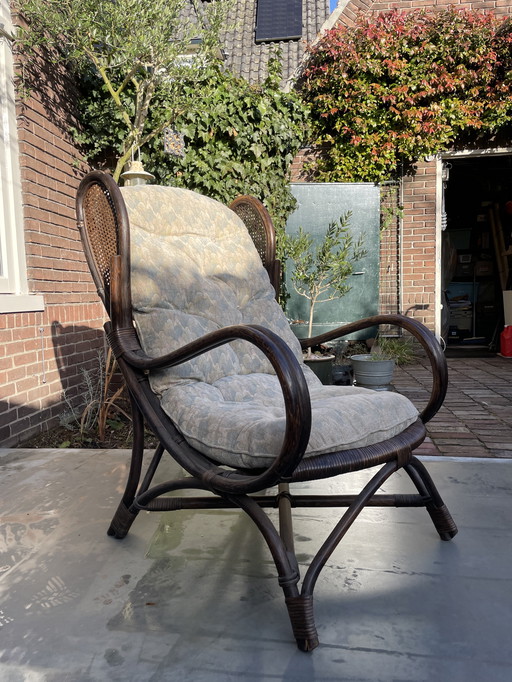Vintage rotan en wicker bergère oorfauteuil Gio Ponti stijl