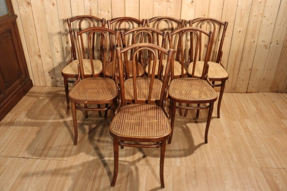 Image 1 of Series x8 bistro chairs no. 56 by Thonet 1904