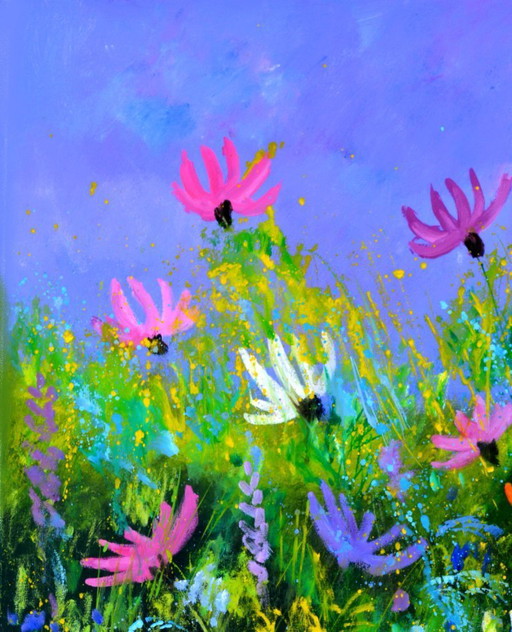 A few cosmos flowers