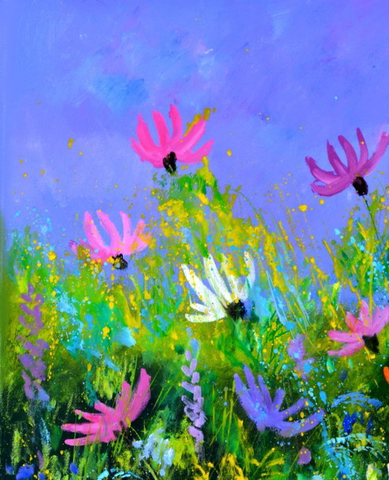 Image 1 of A few cosmos flowers 