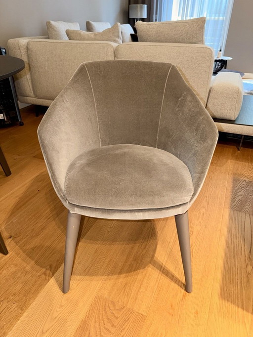 Papadatos Aleria Samt Esszimmerstühle Juego de 4