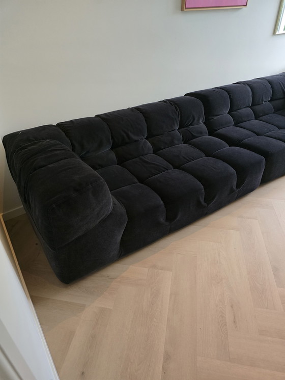 Image 1 of BB Italia Tufty time