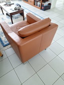 Leolux fauteuil Antonia Noble