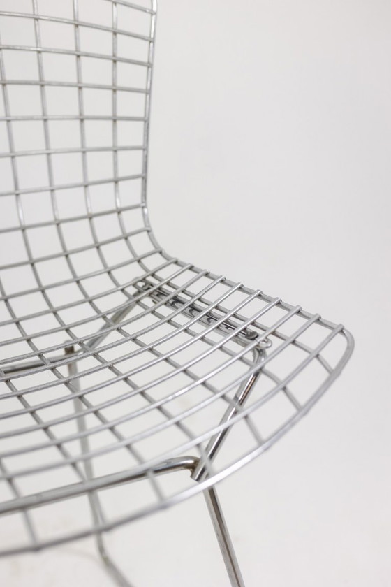 Image 1 of Harry Bertoia para Knoll. Juego de 5 sillas. Década de 1970.