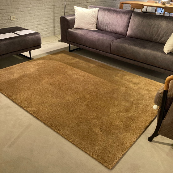 Image 1 of CS Rugs Sauvage rug - 160x220